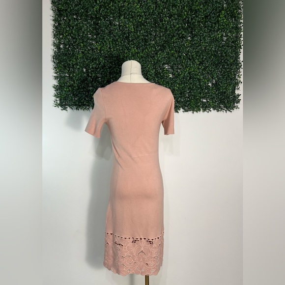 Ann Taylor Knit Dusty Pink Embroidered Floral Hem Midi Dress Size Extra Small - Picture 4 of 9